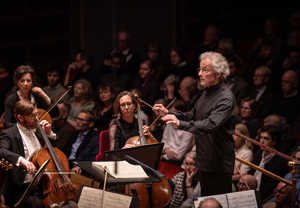 Man som dirigerar. Fotografi.