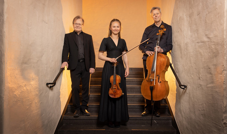 Musiker. Fotografi.