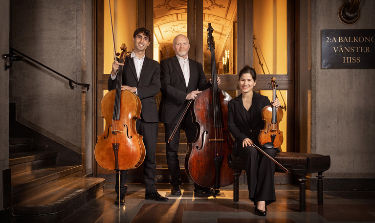 Musicians standing with their instruments. Photo.