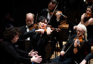 Man som spelar violin. Fotografi.