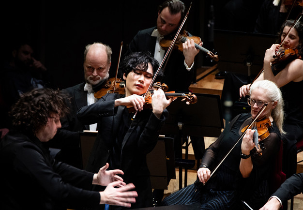 Man som spelar violin. Fotografi.